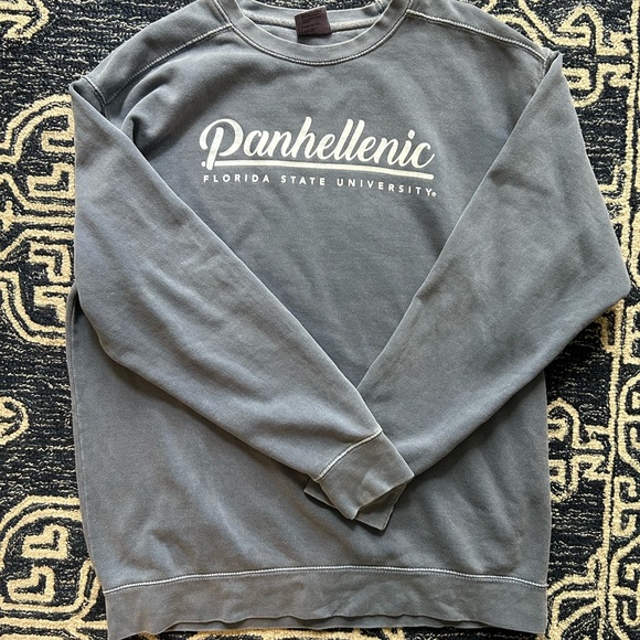 PANHELLENIC Florida State Gray Blue Oversized Sweatshirt L Comfort Colors EUC - Picture 6 of 7